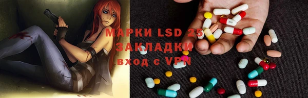 a pvp Бородино