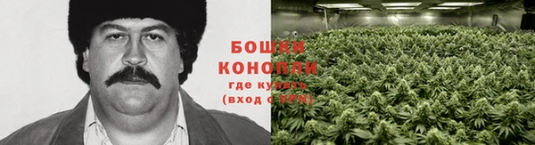 a pvp Бородино