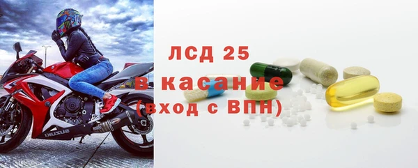 a pvp Бородино