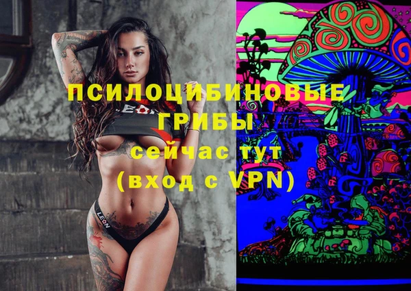 ешки Бронницы