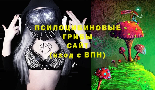spice Приозерск