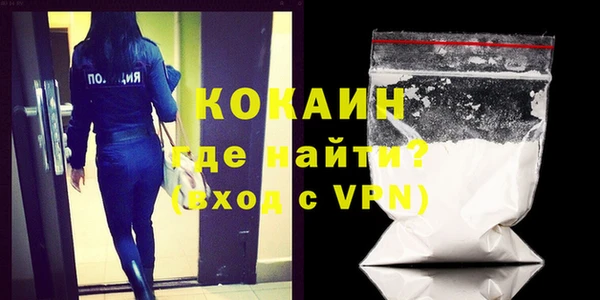 a pvp Бородино